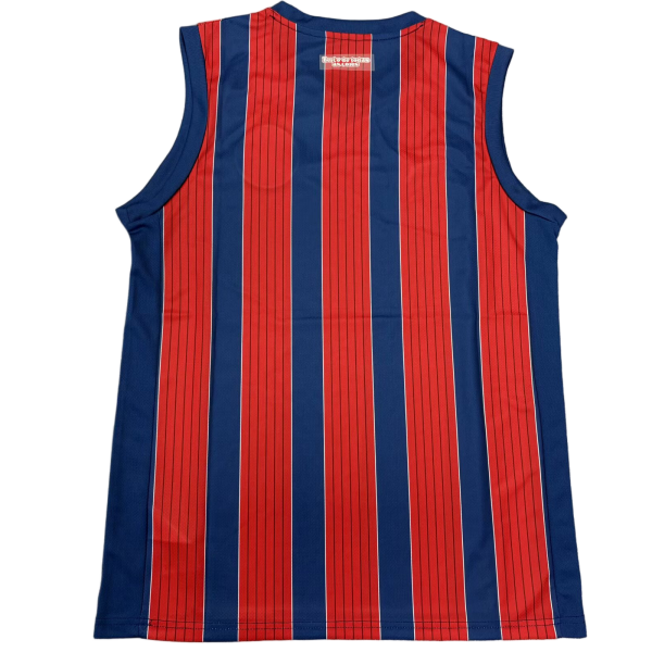 25-26巴伊亚无袖球衣 速干运动服